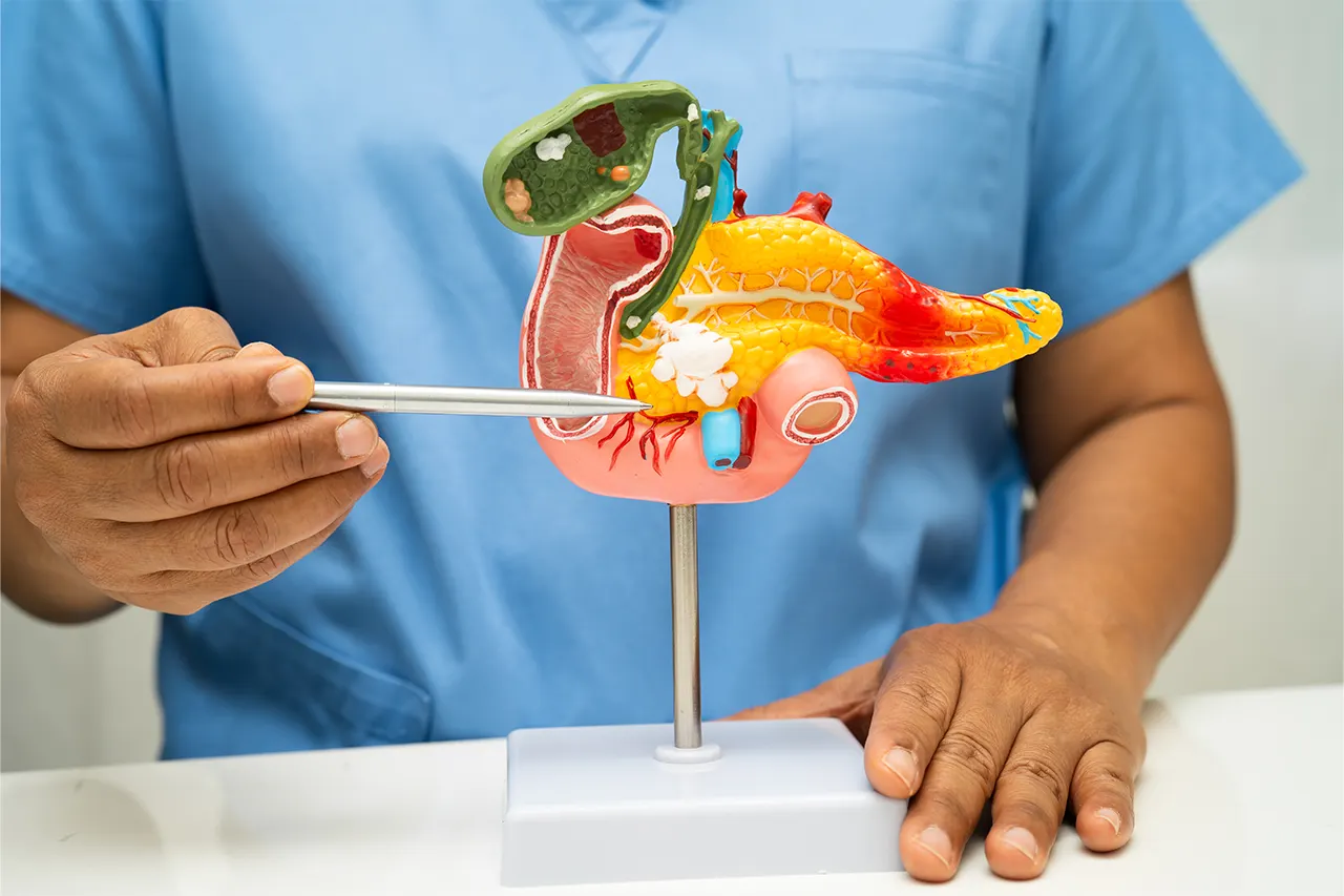 donde duele la vesicula